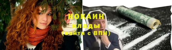 ПСИЛОЦИБИНОВЫЕ ГРИБЫ Белокуриха