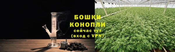 PSILOCYBIN Беломорск