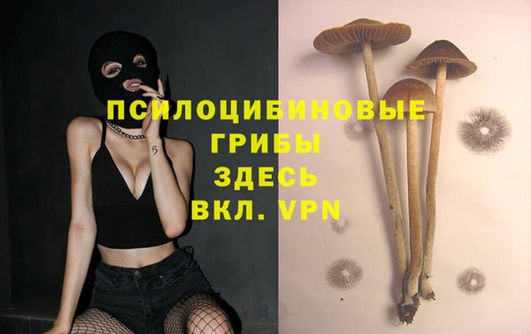 PSILOCYBIN Беломорск
