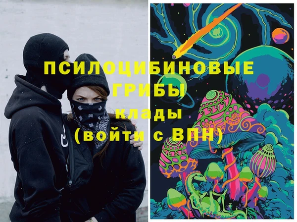 PSILOCYBIN Беломорск