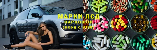 ПСИЛОЦИБИНОВЫЕ ГРИБЫ Белокуриха