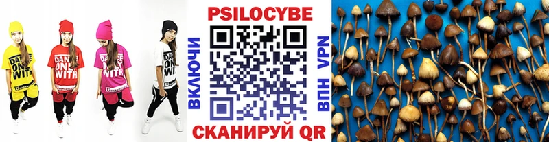 Галлюциногенные грибы Cubensis Валуйки